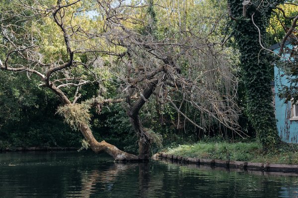 Les Défis des Maladies Chroniques sur la Santé des Mères : Un Guide Complet