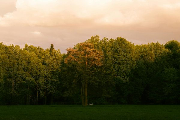 Vivre la Schizophrénie : Récits Émotionnels et Témoignages Inédits d'Expériences Personnelles